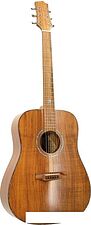 Акустическая гитара Randon RGI-500