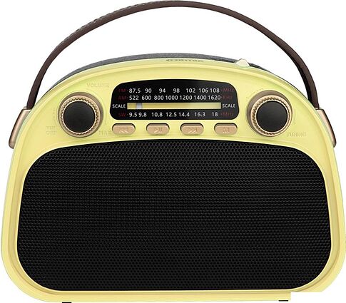 Радиоприемник Ritmix RPR-040 (лимонный)