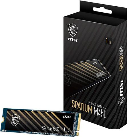 SSD MSI Spatium M450 2TB S78-440Q510-P83