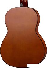 Акустическая гитара Naranda CG120-1/2