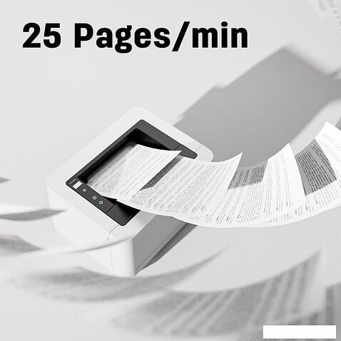 Принтер Deli P2000DNWs