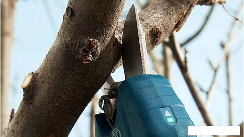 Секатор Bosch Pro Pruner Professional 06019K1021 (с 2-мя АКБ)