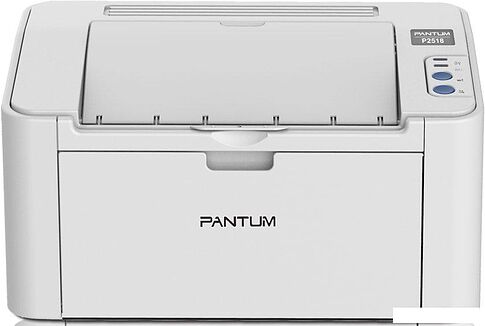 Принтер Pantum P2518 + PL-C211PB