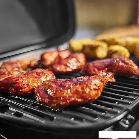 Газовый гриль для дачи Weber Traveler Compact