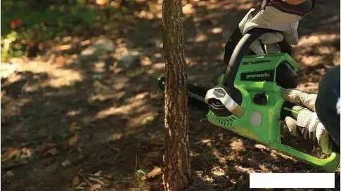 Аккумуляторная пила Greenworks G24CS25K4 (с 1-им АКБ)