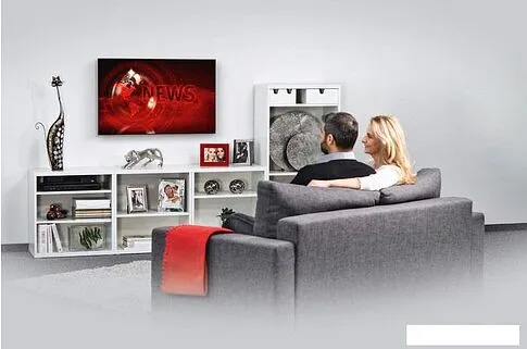 Кронштейн Hama 00118106