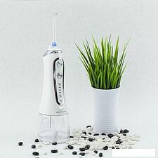 Ирригатор Revyline RL 450 (белый)