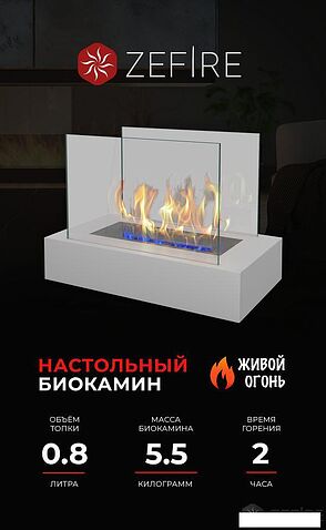 Биокамин ZeFire Galea белый
