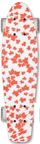 Пенниборд Indigo LS-P2206B (splash)