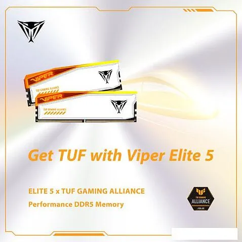 Оперативная память Patriot Viper Elite 5 RGB TUF Gaming Alliance 2x24ГБ DDR5 6000МГц PVER532G60C36KT