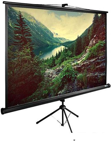 Проекционный экран CACTUS TriExpert 220x220 CS-PSTE-220X220-BK