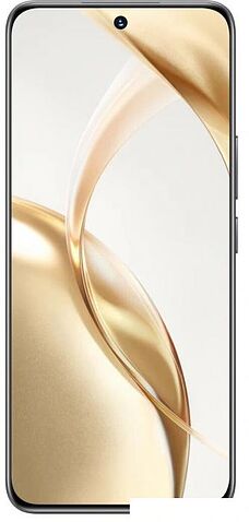 Смартфон HONOR 200 12GB/512GB международная версия (вельветовый черный)