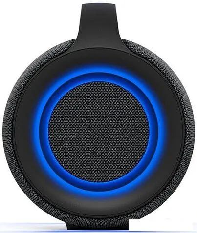 Беспроводная колонка Sony SRS-XG500