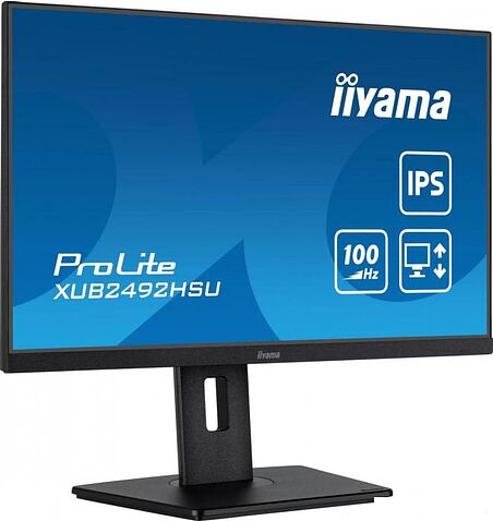 Монитор Iiyama ProLite XUB2492HSU-B6