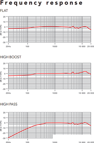 Микрофон RODE NTG4+
