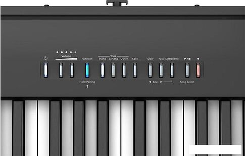 Цифровое пианино Roland FP-30X (черный)