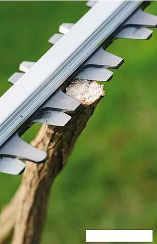 Кусторез Ryobi OHT1855R