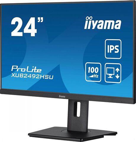 Монитор Iiyama ProLite XUB2492HSU-B6