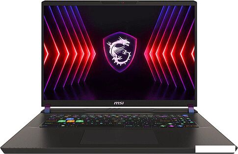 Игровой ноутбук MSI Vector 17 HX A14VIG-899RU