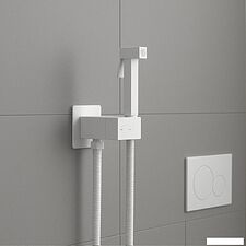 Гигиенический душ Lauter Rainix 21LT7713MW
