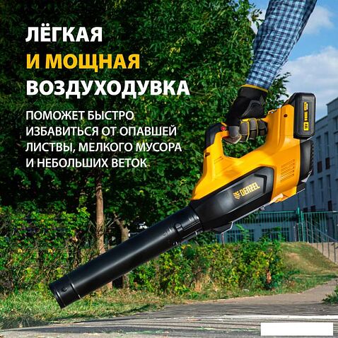 Ручная воздуходувка Denzel RB180-36 59610 (с 2-мя АКБ)