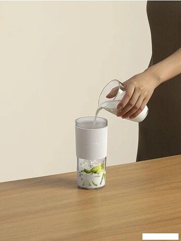 Портативный блендер Xiaomi Portable Blender XMZZB01PL (с евровилкой)
