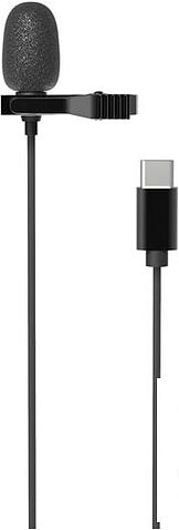 Микрофон Ritmix RCM-210