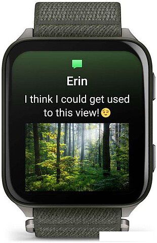 Умные часы Garmin Venu X1 (титановый/зеленый)