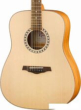 Акустическая гитара Ramis RA-A05