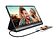 Монитор ASUS MB16AP