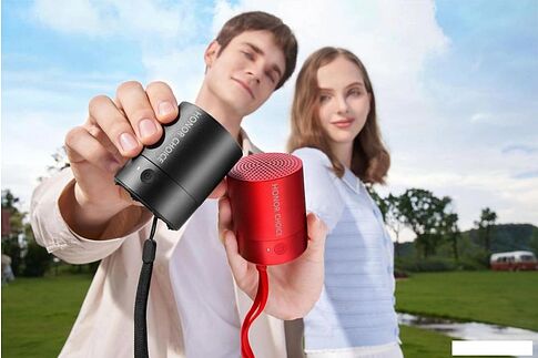 Беспроводная колонка HONOR Choice Mini (черный)