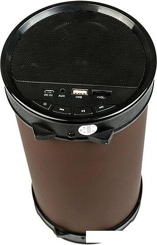 Беспроводная колонка Dialog AP-1000