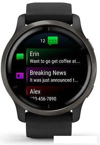 Умные часы Garmin Venu 2 (сланцевая нержавеющая сталь/черный)