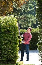Кусторез Ryobi RHT8165RL