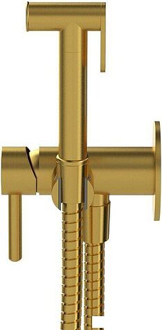 Гигиенический душ Whitecross SYSYBI2GLB (брашированное золото)