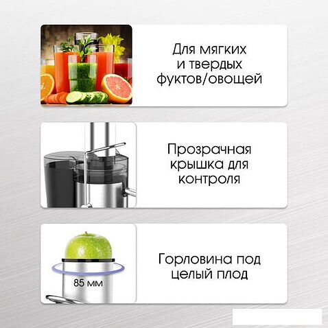 Соковыжималка Zigmund & Shtain EJ-756