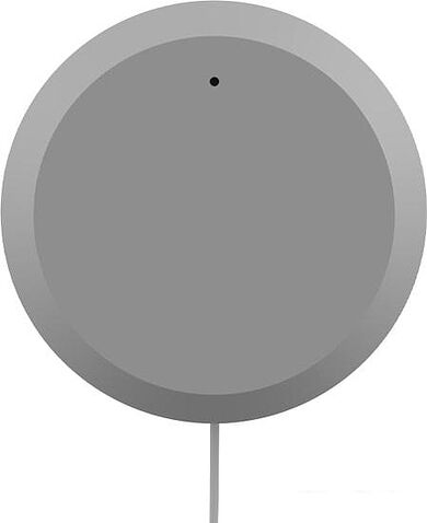 Датчик Ritmix SDT-300-Tuya