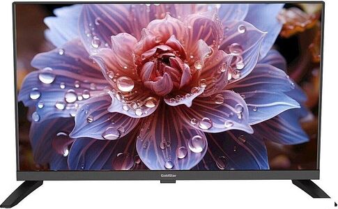 Телевизор GoldStar LT-24R1100