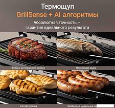 Электрогриль Redmond (Редмонд) SteakMaster GM306