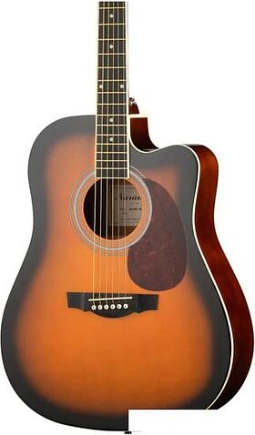 Акустическая гитара Naranda DG120CBS