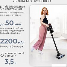 Пылесос Planta PL-VCV101 Пылесос Planta PL-VCV101