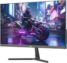 Игровой монитор ELSA EA241S Pro