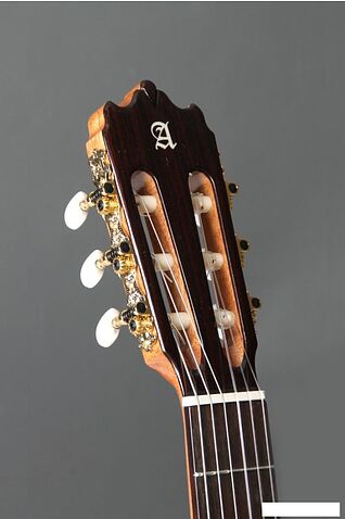 Акустическая гитара Alhambra Student Iberia Ziricote