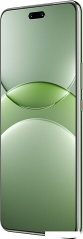 Смартфон Huawei nova 13 Pro MIS-LX9 12GB/512GB (дымчатый зеленый)