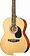 Акустическая гитара Homage LF-3900