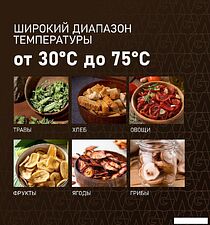 Сушилка для овощей и фруктов Weissgauff WDH 106 Dry Cube