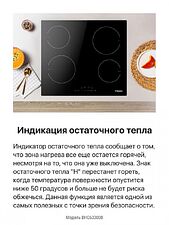 Варочная панель Hansa BHC633008