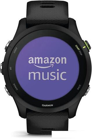 Умные часы Garmin Forerunner 255 Music 46 мм (черный)