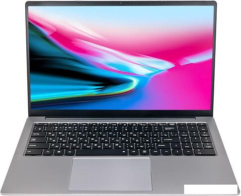 Ноутбук Hiper Expertbook MTL1601A1135DS