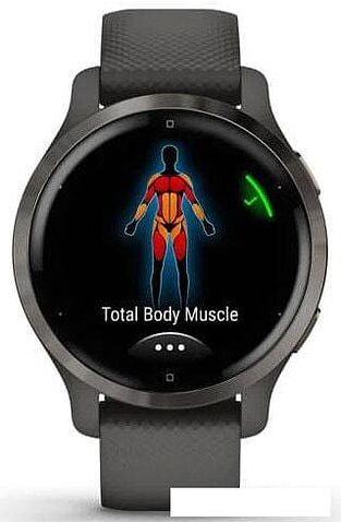 Умные часы Garmin Venu 2S (сланцевая нержавеющая сталь/черный)